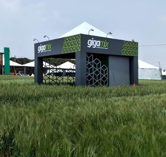 WhatsApp Image 2023-11-08 at 09.51.54